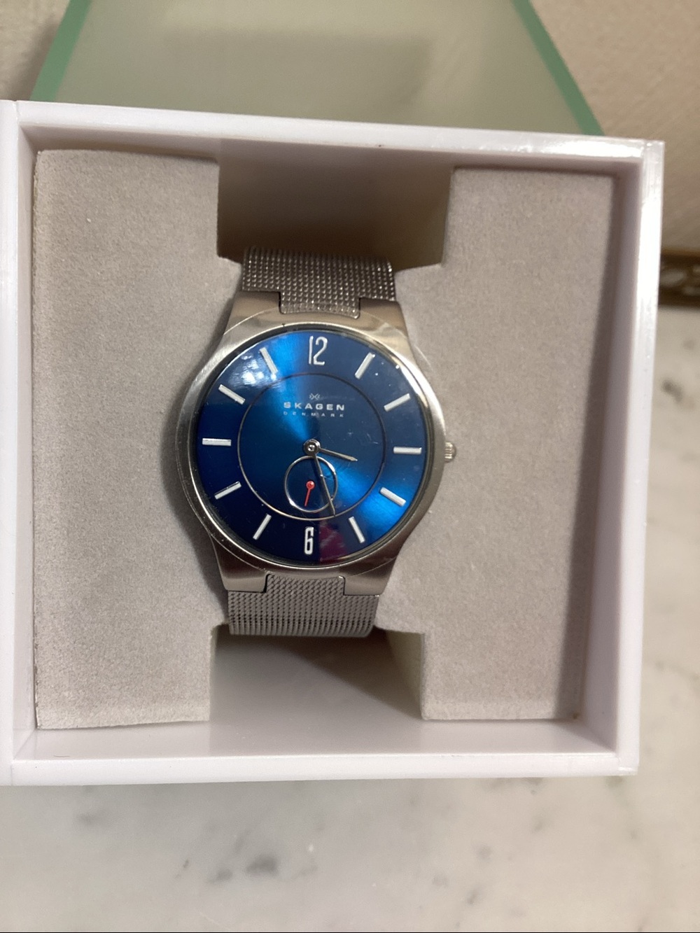 Skagen Silver Case Watch with Blue Sunray Dial
